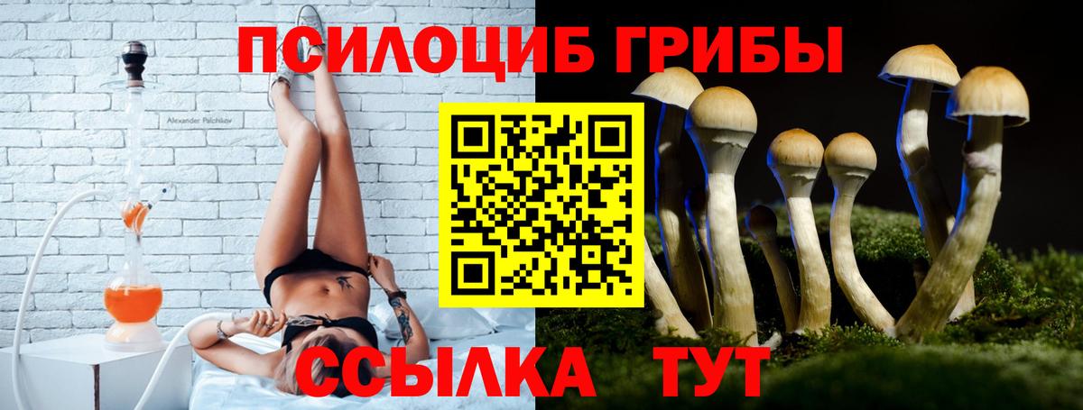 Чистополь  Псилоцибиновые грибы мицелий  Вход с VPN 
